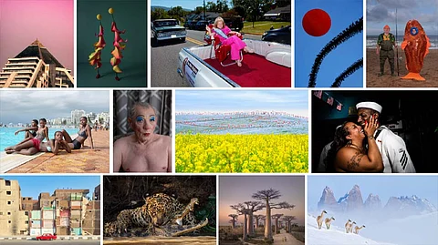 Sony World Photography Awards 2024: Winners Revealed