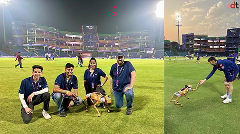 wTVision Wows IPL Fans with Robotic Dog Camera