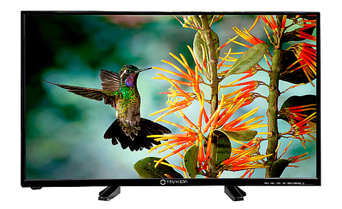 Truvison Launches TW 3263 A 32 inch LED TV Just For Rs. 18,490/-