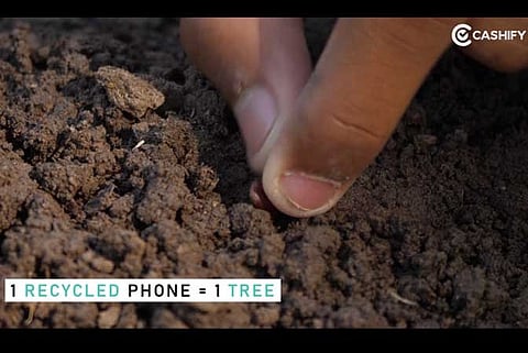 Cashify will Plant a Tree for Every Recycled Device on This Environment Day