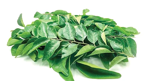 கருவேப்பிலை