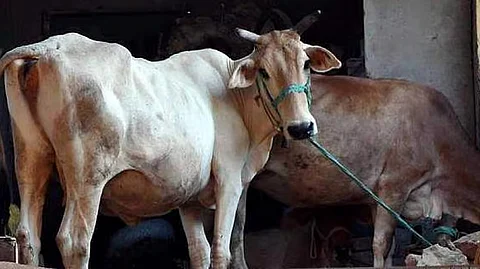 கோப்புப் படம்