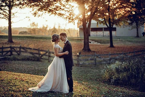 Treeline Catering