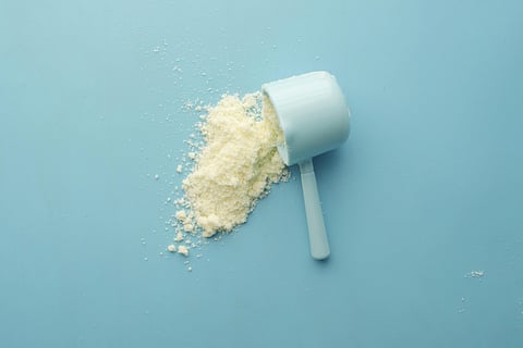 10 Tips To Help You Choose The Best Protein Powder Available Online