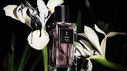 Yves Saint Laurent Muse fragrance bottle surrounded by white iris flowers
Muse by Yves Saint Laurent captures after-dark elegance through contrast and sensuality