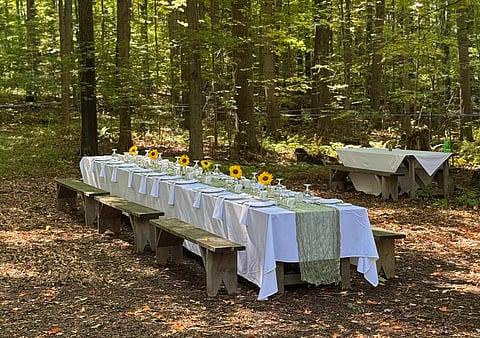 dinner in the woods