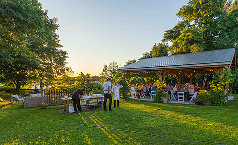 Summer Harvest Celebration at LittleJohn Farm