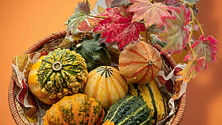 Must-Have Spirits for Thanksgiving