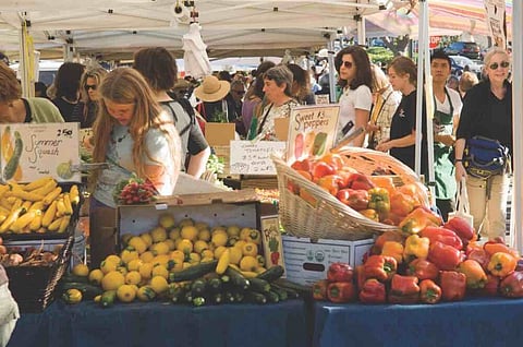 Organic Food market