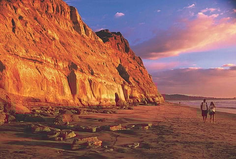 Torrey Pines State Reserve, Photo Courtesy Brett Shoaf Artistic Visuals