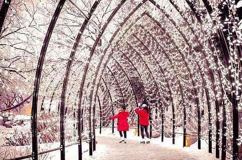 Photo by Forks, Winnipeg