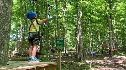 Tree Top Trekking in Stoufville