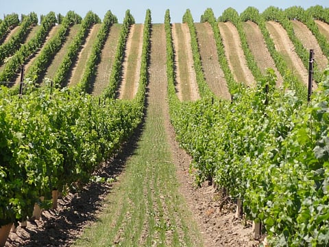 More Fun Things To Do With Family in Niagara Falls