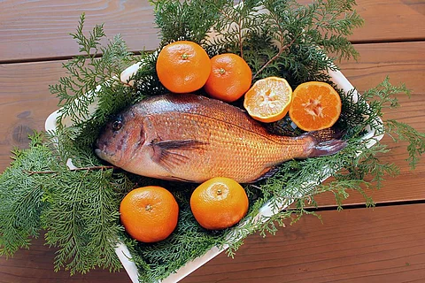 Feeding Fish Oranges and Chocolate in Japan