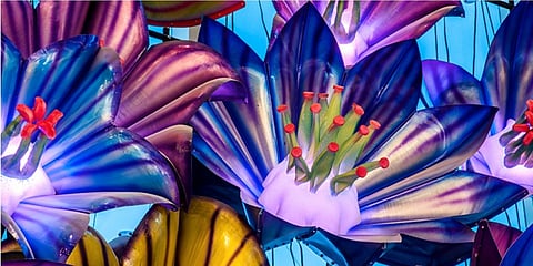 Flowers, Crystals + Mushrooms, by Gregory Skolozdra, https://downtownmarkham.ca