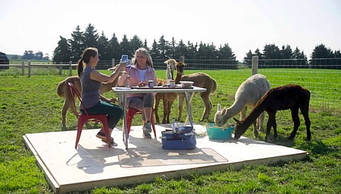 Oxford County Bucket List