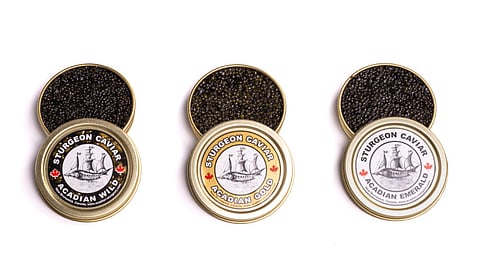 I’m Dreamin’ of a Caviar Christmas