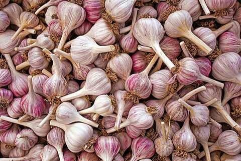 Garlic, Ashlyn Ciara, unsplash