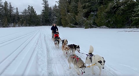 Dog Sledding in Haliburton Highlands. Photo by Adam Waxman/DINE magazine.