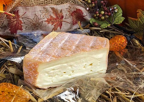 A Sampling of Cheese From Fromagerie Nouvelle-France. Photo Courtesy of Fromagerie Nouvelle-France