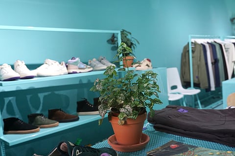 A primeira loja Sanjo abriu, no Bairro Alto, em finais de 2023. Outras estão em vista