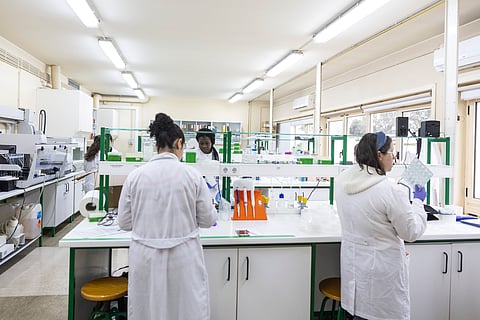 Portugal destaca-se na inovação na Europa com crescimento de patentes