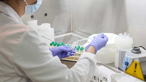 Programa quer dar oportunidade a alunos do secundário para entrarem no mundo da ciência.