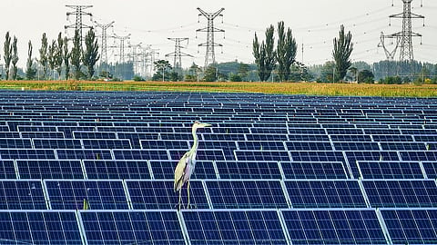 Quase metade da energia consumida na UE em 2024 teve fonte renovável. Portugal ficou na quarta posição