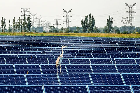 Energia solar representa 10% do consumo de energia elétrica em Portugal.