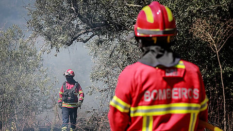 Fogo rural em Fornos de Algodres dominado. Mais de 60 concelhos em em perigo máximo de incêndio