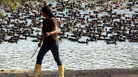 Investigação à Marinhave ainda decorre e empresa continua sem atividade