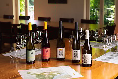 Na Quinta do Ameal, o Esporão está a produzir as marcas Bico Amarelo, Solo Único, Ameal Loureiro e Ameal Reserva.