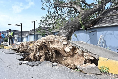 Custos dos desastres naturais caem em 2025 mas mantêm-se alarmantes