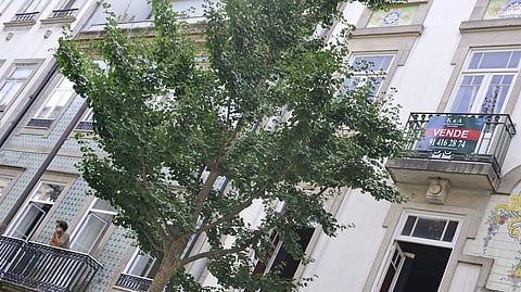 Preço das casas de luxo em Lisboa sobe até 6% em 2026