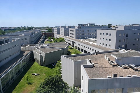 Bruxelas dá 5,4 milhões à FEUP para potenciar energias renováveis comunitárias