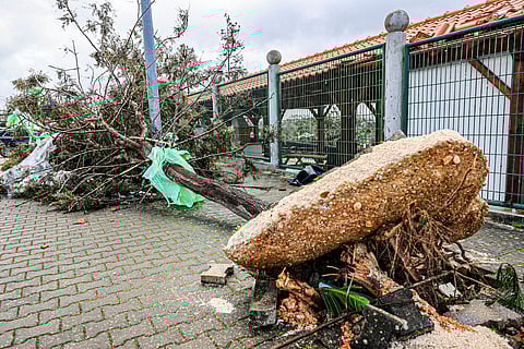Devastação em Leiria.