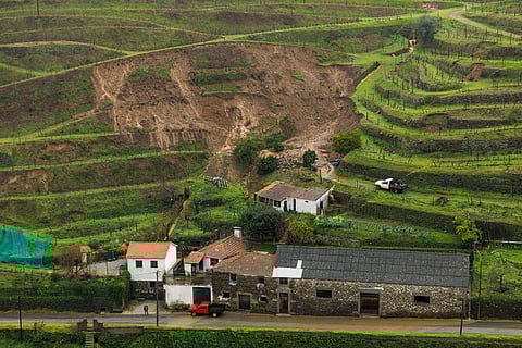Videiras arrastadas, poda parada e garrafas para despachar. Como o mau tempo está a afetar o enoturismo no Douro