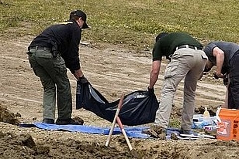 Investigação encontra pelo menos 117 cães em valas comuns, com vestígios de terem sido abatidos a tiro nos EUA