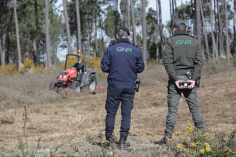 Incêndios. Prazo para limpar terrenos termina hoje e proprietários pedem “tolerância” às autoridades