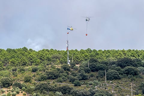 Incêndio assola em particular o parque natural da Sierra Norte.