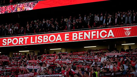 Na fundamentação da iniciativa, o clube da Luz alerta para o "risco de perda de valor económico e patrimonial" dos clubes.