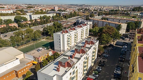 Moradores no Bairro da Boavista têm apresentado queixas de pragas.