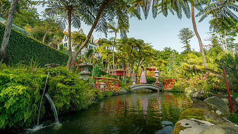 O Monte Palace Madeira conta com uma diversidade de fauna e flora, distribuídas por 70.000 m²