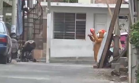 Polícia disfarça-se de urso romântico no Dia dos Namorados para prender traficantes de droga