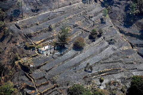 Fogo na Madeira continua dominado e mantém-se "vigilância ativa" para evitar reacendimentos