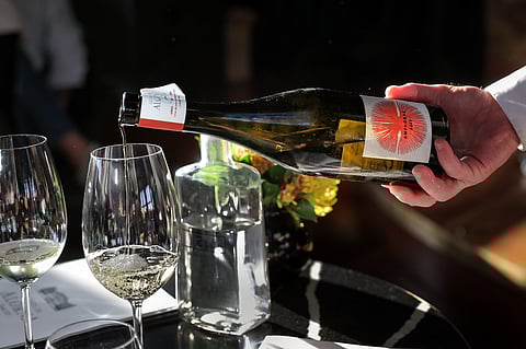 Preço do vinho pode aumentar 30% para o consumidor devido à tarifa de 15% imposta pelos EUA