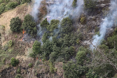 Área ardida na Madeira ultrapassou os 5100 hectares