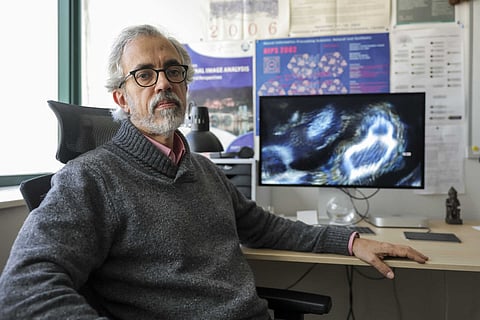 Mário Figueiredo é professor catedrático no Instituto Superior Técnico, mais precisamente no Instituto de Telecomunicações. Foto -- Gerardo Santos/Global Imagens