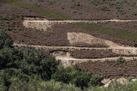 Savannah diz que há “maiores quantidades” de lítio na mina do Barroso