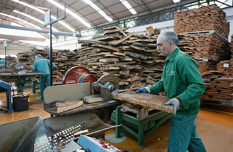 Lucro da Corticeira Amorim cai 20,3% para 55,6 milhões de euros em 2025
